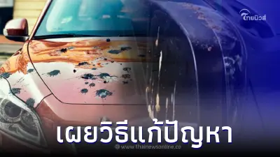 เผยวิธีแก้ปัญหา "ขี้นก-รอยขนแมว" ง่ายๆ ทำได้ด้วยตัวเอง