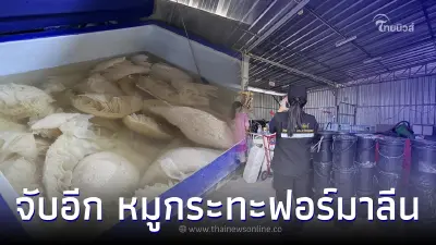 จับอีก หมูกระทะแช่ฟอร์มาลีน-โซดาไฟ 1,200 กิโล เตรียมส่งร้านทั่วชลบุรี
