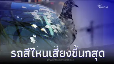 เผยความจริง ที่ไม่เคยรู้ รถยนต์สีไหนเสี่ยงโดน "ขี้นก" มากที่สุด?