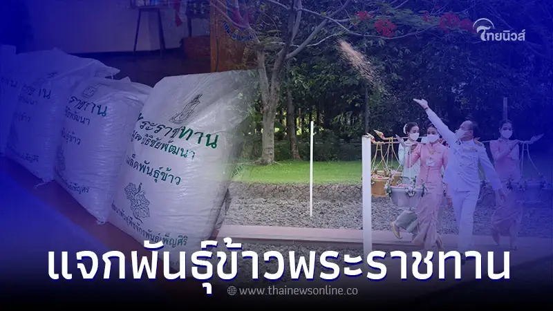 วันพืชมงคล 2566 แจกพันธุ์ข้าวพระราชทาน ลงทะเบียนที่นี่