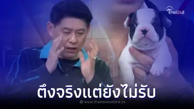 "สรยุทธ" ปัดรับเลี้ยงน้องวัวตัวตึง ก่อนเผยโฉมหน้าสมาชิกใหม่ตัวจริง "สรยุทธ" ปัดรับเลี้ยงน้องวัวตัวตึง ก่อนเผยโฉมหน้าสมาชิกใหม่ตัวจริง