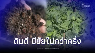 8  สูตรปรุงดินให้ถูกใจพืชผัก ผลผลิตดี ปลูกอะไรก็งาม