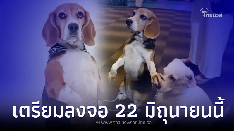 เจ๊บุ้ง เตรียมลงจอ "คุณตูบสายดาร์กปิดเมืองกัด" 22 มิถุนายนนี้ เจ๊บุ้ง เตรียมลงจอ "คุณตูบสายดาร์กปิดเมืองกัด" 22 มิถุนายนนี้