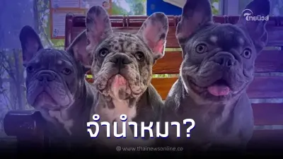 ลูกหนี้แสบยืมเงินไป แถมอุ้มหมามาจำนำ ไม่มาเอาคืน เจ้าหนี้ต้องเลี้ยงแบบงงๆ