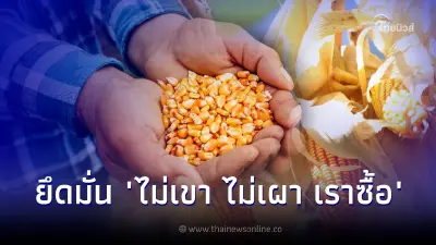 เครือซีพี ยึดมั่นตามแนวทาง "ไม่เขา ไม่เผา เราซื้อ" จัดหาข้าวโพดเลี้ยงสัตว์ เครือซีพี ยึดมั่นตามแนวทาง "ไม่เขา ไม่เผา เราซื้อ" จัดหาข้าวโพดเลี้ยงสัตว์