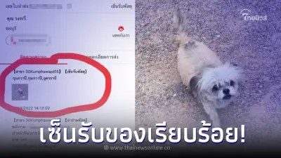 น้องหมารอรับพัสดุ หลังเจ้าของไม่อยู่บ้าน เซอร์ไพรส์ เลี้ยงไม่เสียข้าวสุก น้องหมารอรับพัสดุ หลังเจ้าของไม่อยู่บ้าน เซอร์ไพรส์ เลี้ยงไม่เสียข้าวสุก