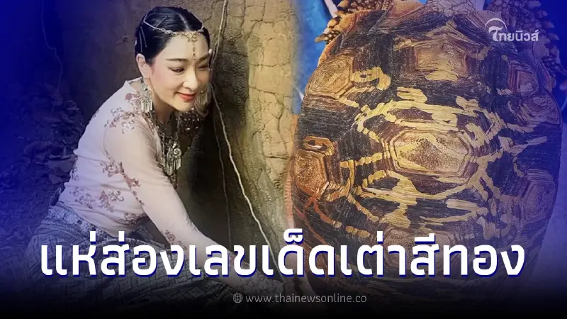 โค้งสุดท้าย เฟี้ยวฟ้าว เจอเต่าทองหลงทาง ส่องกระดองอัศจรรย์ขึ้นลายอักขระ โค้งสุดท้าย เฟี้ยวฟ้าว เจอเต่าทองหลงทาง ส่องกระดองอัศจรรย์ขึ้นลายอักขระ