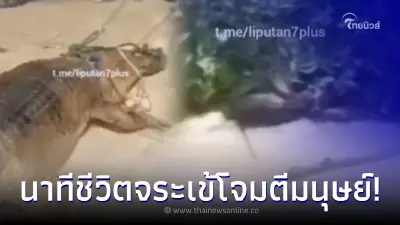 นาทีชีวิต แม่กระโดดน้ำช่วยลูกถูกจระเข้ตัวเขื่องโจมตี กัดลากไกล 10 เมตร