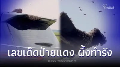 ฮือฮา หนุ่มแวะเที่ยวเขื่อนเจอผึ้งทำรังรถป้ายแดง แถมตามกลับมาทำรังถึงบ้าน