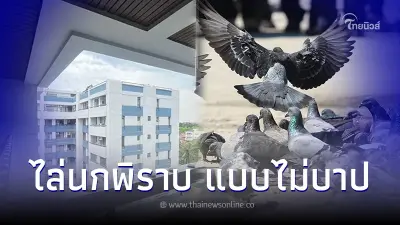 สาวแชร์เจอตัวช่วย หมดปัญหานกพิราบกวนใจ ชาวคอนโดฯ ลืมวิธีเก่าๆไปได้เลย