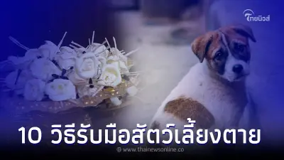 10 วิธีรับมือ เมื่อสัตว์เลี้ยงแสนรักจากไป