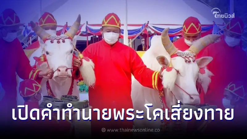 วันพืชมงคล 2566 เปิดคำทำนาย "พระโคเสี่ยงทาย" ปีนี้กินหญ้า-เหล้า