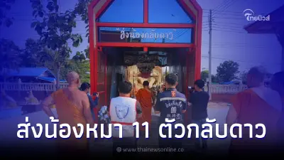 วัดดัง สงเคราะห์ส่งพุดเดิ้ล 11 ตัว กลับดาว หลังเจ้าของรมควันพร้อมน้องหมา