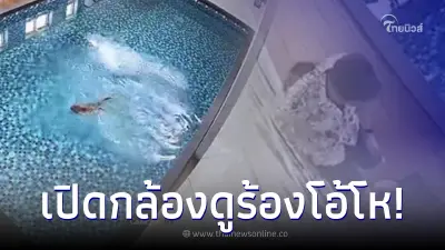 เจ้าของใจแป้ว นึกว่าแมวตกสระน้ำ เปิดกล้องดูร้องโอ้โห ที่แท้แสบกว่าที่คิด