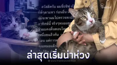 เริ่มน่าห่วง เจ้าของชิฟู แมวอ้วนตกใส่รถ โพสต์ล่าสุด อ่านแล้วมีน้ำตาซึม
