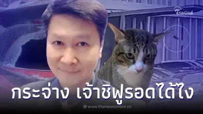 อ.เจษฎา ไขกระจ่างเหตุ "เจ้าชิฟู" ตกตึกชั้น 6 แต่ไม่เจ็บหนักแค่เล็บหลุด