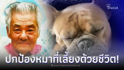 ตาวัย 84 เสียชีวิต ขณะพยายามปกป้องสัตว์เลี้ยงของเขาจากเจ้าหน้าที่เทศบาล ตาวัย 84 เสียชีวิต ขณะพยายามปกป้องสัตว์เลี้ยงของเขาจากเจ้าหน้าที่เทศบาล