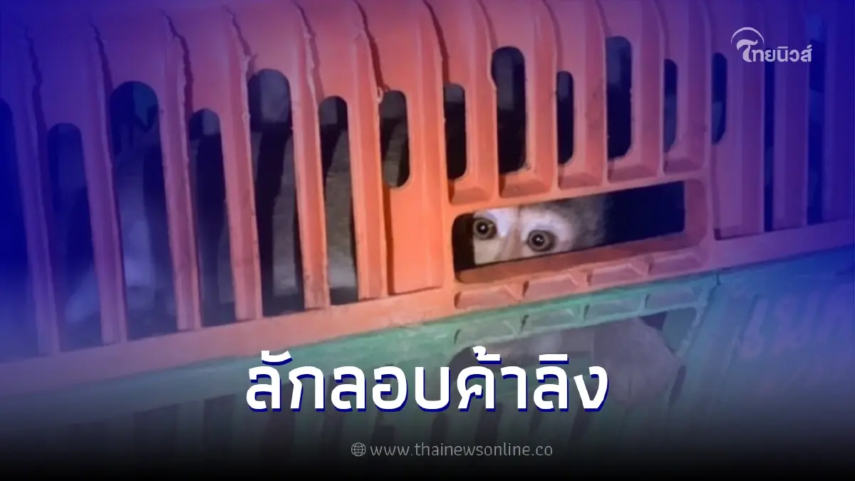 ตำรวจทางหลวง ปทส. สกัดจับผู้ต้องหา 2 ราย ลักลอบค้าลิงยึดของกลางลิงแสม 33 ตัว