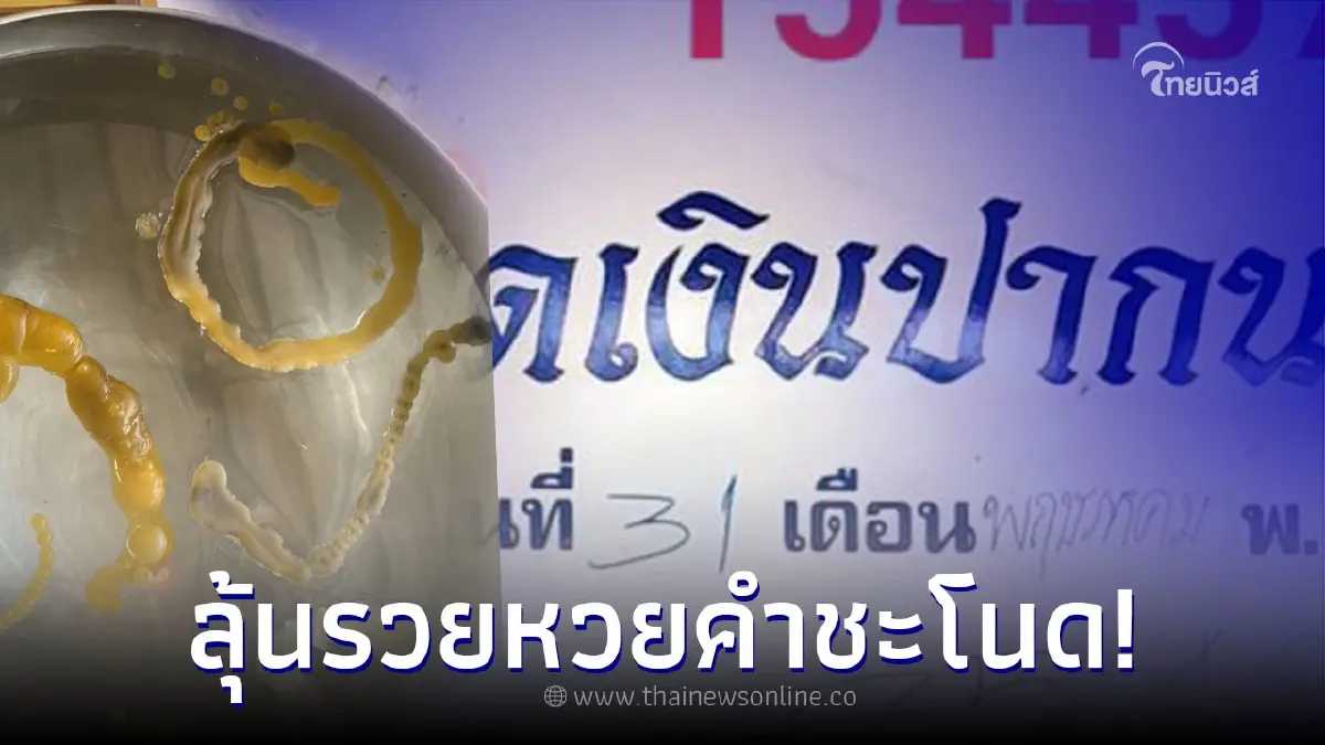 ส่องขันน้ำมนต์ "คำชะโนด" ฮือฮา ยอดเงินบริจาคปากนาค มีเลขเด็ด1/6/66 ส่องขันน้ำมนต์ "คำชะโนด" ฮือฮา ยอดเงินบริจาคปากนาค มีเลขเด็ด1/6/66