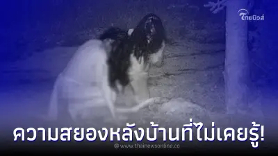 พยาบาลสาวขวัญเสีย ตั้งกล้องบันทึกภาพซากสัตว์หลังบ้าน ก่อนเจอความสยอง