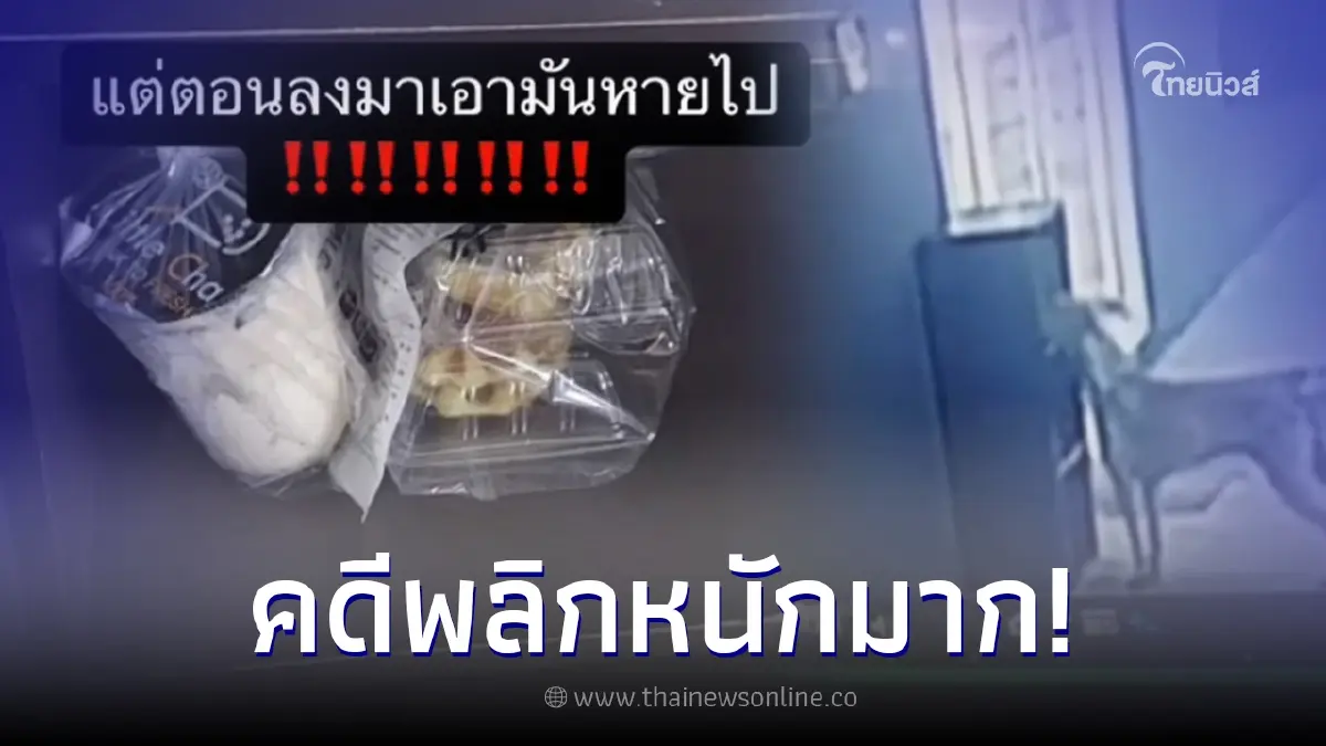สาวตามหาขนม ถามทั้งคอนโดไม่มีใครตอบ พอดูกล้องวงจรปิดโกรธไม่ลง สาวตามหาขนม ถามทั้งคอนโดไม่มีใครตอบ พอดูกล้องวงจรปิดโกรธไม่ลง