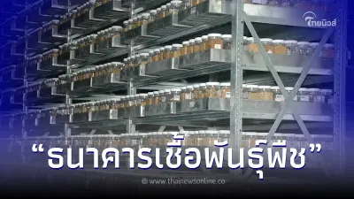ธนาคารเชื้อพันธุ์พืช  คุณูปการความมั่นคงทางอาหารไทย