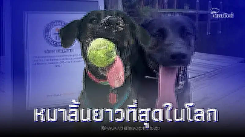 สถิติใหม่อย่างเป็นทางการ "โซอี้" น้องหมาลิ้นยาวที่สุดในโลก ยาวถึง 12.7 ซม. สถิติใหม่อย่างเป็นทางการ "โซอี้" น้องหมาลิ้นยาวที่สุดในโลก ยาวถึง 12.7 ซม.