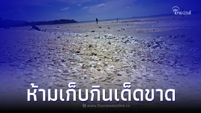 ดร.ธรณ์ เผยสาเหตุ ปลาตายเกลื่อนหาดทุ่งวัวแล่น เตือนไม่ควรเก็บมากิน