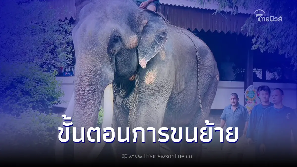 เช็คความพร้อม "พลายศักดิ์สุรินทร์" คาดถึงประเทศไทยช่วงบ่าย วันที่ 2 เช็คความพร้อม "พลายศักดิ์สุรินทร์" คาดถึงประเทศไทยช่วงบ่าย วันที่ 2