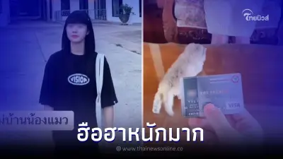 หนุ่มจ้างแม่บ้านดูแลแมว ให้เงินต่อวีคละหลายพัน บัตร 5 หมื่นรูดได้เลย