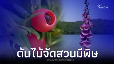 10 ต้นไม้มีพิษ เป็นอันตรายกับคนและสัตว์เลี้ยง
