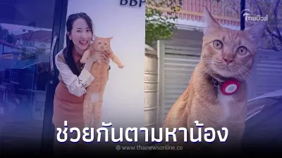 สาวประกาศตามหาแมว "น้องแซลมอน" หายไป 10 วันแล้ว เจ้าของให้รางวัล 1 หมื่น สาวประกาศตามหาแมว "น้องแซลมอน" หายไป 10 วันแล้ว เจ้าของให้รางวัล 1 หมื่น