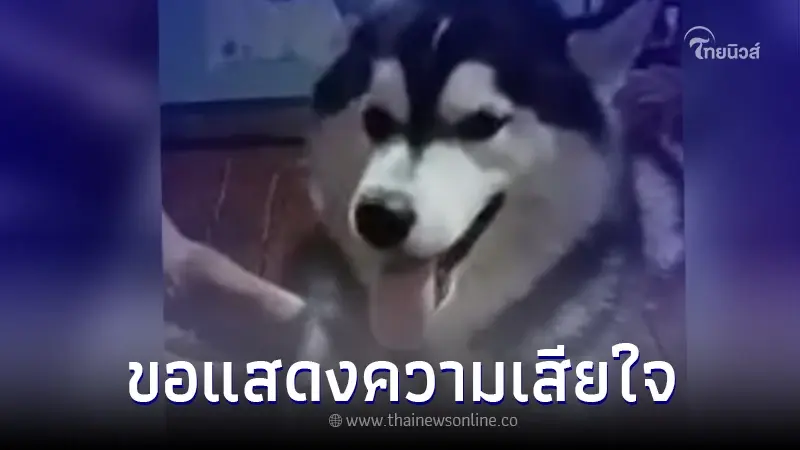 เจ้าของไก่ ฉุนจัด "น้องโมจิ ไซบีเรียน" กัดไก่ชน คว้าไม้ปลิดชีพดับ เจ้าของไก่ ฉุนจัด "น้องโมจิ ไซบีเรียน" กัดไก่ชน คว้าไม้ปลิดชีพดับ