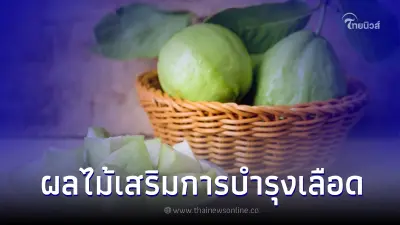 5 ผลไม้เสริมการบำรุงเลือด ช่วยดูดซึมธาตุเหล็ก 5 ผลไม้เสริมการบำรุงเลือด ช่วยดูดซึมธาตุเหล็ก