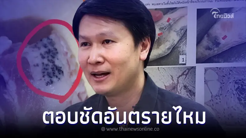 อ.เจษฎา ช่วยไขข้อสงสัย จุดดำบนเนื้อหมูติดมันคืออะไร กินได้หรือไม่ อ.เจษฎา ช่วยไขข้อสงสัย จุดดำบนเนื้อหมูติดมันคืออะไร กินได้หรือไม่