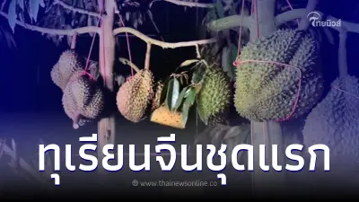 เอาแล้วไง ไหหลำเก็บเกี่ยว ทุเรียนชุดแรกที่ปลูกเอง ท้าพิสูจน์ความอร่อย เอาแล้วไง ไหหลำเก็บเกี่ยว ทุเรียนชุดแรกที่ปลูกเอง ท้าพิสูจน์ความอร่อย