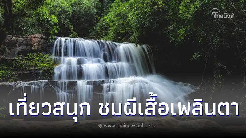 เที่ยวเพลินตา อุทยานแห่งชาติปางสีดา สระแก้ว เมืองผีเสื้อแห่งผืนป่าตะวันออก เที่ยวเพลินตา อุทยานแห่งชาติปางสีดา สระแก้ว เมืองผีเสื้อแห่งผืนป่าตะวันออก