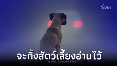 หลายคนไม่เคยรู้ เปิดโทษ พวกเอาสัตว์เลี้ยงไปทิ้ง โดนแจ้งจับ ปรับจุก ๆ