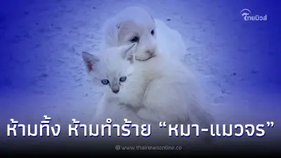 เตือนห้ามทิ้ง ห้ามทำร้าย หมา-แมวจร ปรับ 40,000 บาท