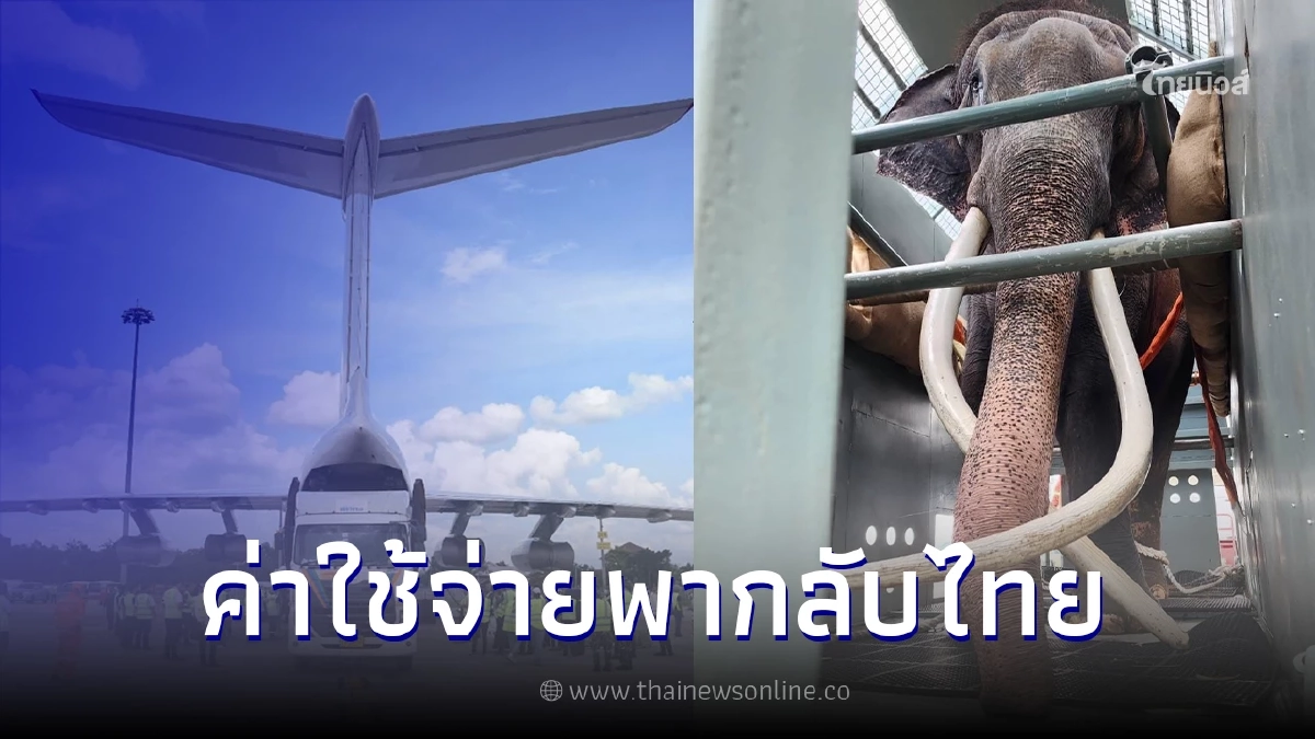 ส่องค่าใช้จ่ายพา "พลายศักดิ์สุรินทร์" กลับไทย ส่องค่าใช้จ่ายพา "พลายศักดิ์สุรินทร์" กลับไทย