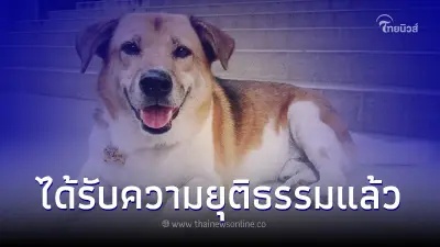 ศาลเชียงใหม่ สั่งจำคุก 6 เดือน ผู้ต้องหาคดี "พี่เตี้ย มช." ศาลเชียงใหม่ สั่งจำคุก 6 เดือน ผู้ต้องหาคดี "พี่เตี้ย มช."