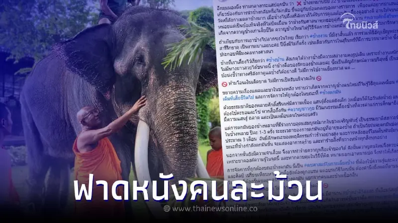 เจ้าของเก่าฟาดหนังคนละม้วน ดราม่า "พลายศักดิ์สุรินทร์" ทรมานมากว่า 22 ปี เจ้าของเก่าฟาดหนังคนละม้วน ดราม่า "พลายศักดิ์สุรินทร์" ทรมานมากว่า 22 ปี