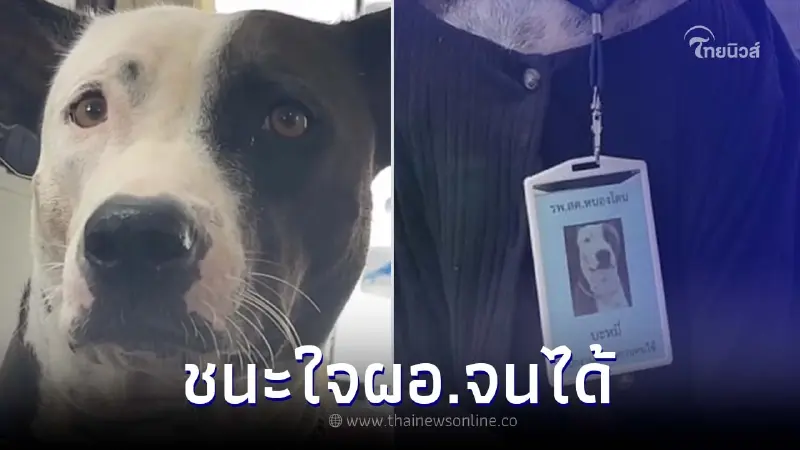แห่ยินดี เจ้าบะหมี่ ตื่นเช้ามาทำงานทุกวัน ล่าสุดชนะใจผอ. ได้บรรจุเป็นพนง. แห่ยินดี เจ้าบะหมี่ ตื่นเช้ามาทำงานทุกวัน ล่าสุดชนะใจผอ. ได้บรรจุเป็นพนง.