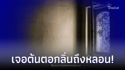 เจ้าของห้องไม่กลับห้องนาน 6 เดือน เจอกำแพงก่อขึ้นกลางบ้าน แถมกลิ่นเหม็นโชย เจ้าของห้องไม่กลับห้องนาน 6 เดือน เจอกำแพงก่อขึ้นกลางบ้าน แถมกลิ่นเหม็นโชย