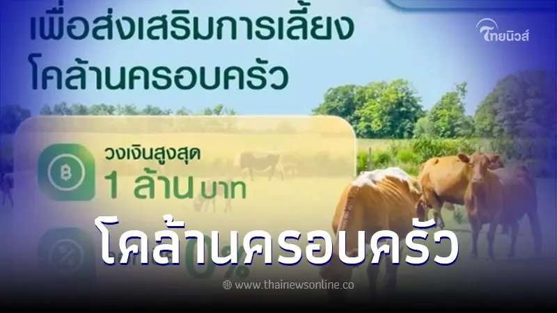 ธ.ก.ส.ปล่อยกู้ "โคล้านครอบครัว" วงเงินสูงสุด 1 ล้านบาท เช็กเงื่อนไขที่นี่ ธ.ก.ส.ปล่อยกู้ "โคล้านครอบครัว" วงเงินสูงสุด 1 ล้านบาท เช็กเงื่อนไขที่นี่