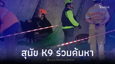 "สุนัข K9" ค้นซากสะพานถล่ม หลังได้รับแจ้งมีกลิ่นเหม็นเน่าปริศนา