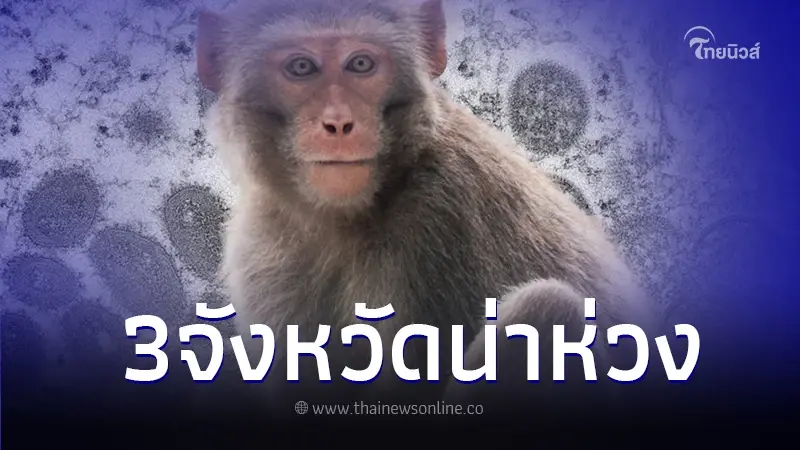 ฝีดาษลิง ระบาดหนัก เปิดรายชื่อ 3 จว. พื้นที่สีแดง ยอดติดเชื้อทะลุหลักร้อย ฝีดาษลิง ระบาดหนัก เปิดรายชื่อ 3 จว. พื้นที่สีแดง ยอดติดเชื้อทะลุหลักร้อย
