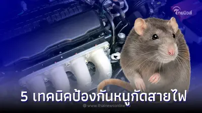 เผย 5 เทคนิคป้องกันหนูกัดสายไฟในเครื่องยนต์ ปัญหาที่คนรักรถที่ต้องปวดหัว !