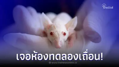 พบห้องทดลองเถื่อนในโกดัง อึ้งสุดเจอเนื้อเยื่อมีเชื้อโรคร้ายแรงหลายชนิด