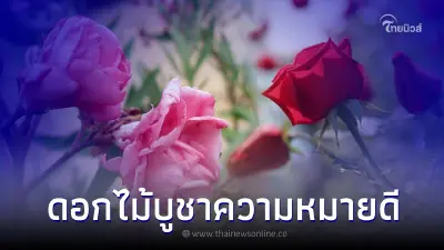 เปิดความหมาย ดอกไม้ถวายพระ ความหมายดี มีอะไรบ้าง เปิดความหมาย ดอกไม้ถวายพระ ความหมายดี มีอะไรบ้าง